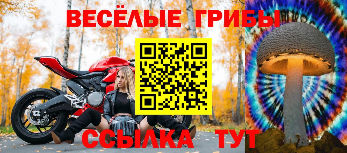 Чебаркуль  Галлюциногенные грибы Cubensis  Вход с VPN 